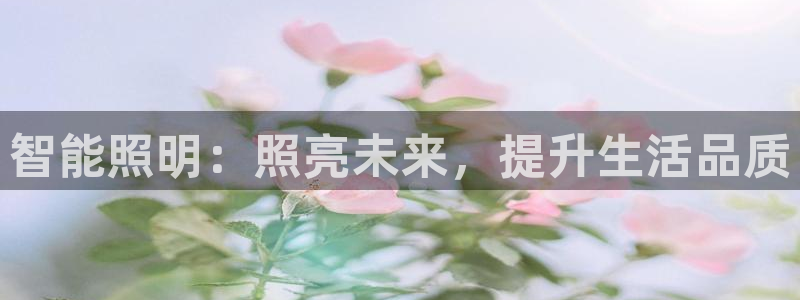 云顶国际集团 深圳