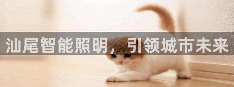 云顶国际平台app