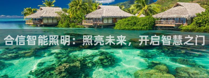 12311云顶线路检测