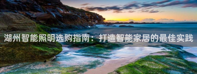 云顶国际物流官网电话