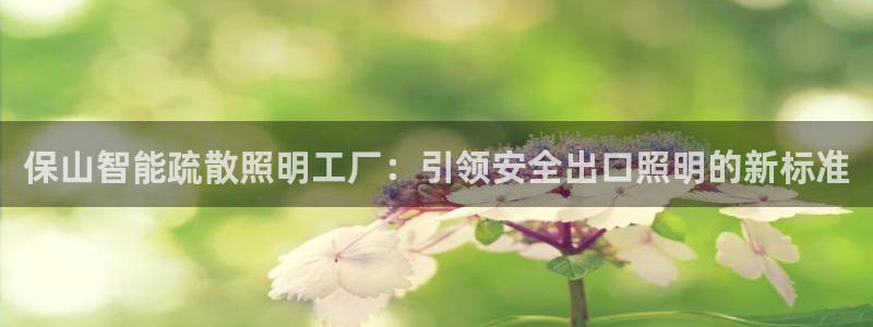 云顶集团董事长林东简历图片