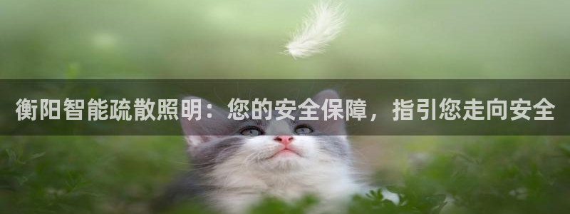 禹州云顶国际二手房