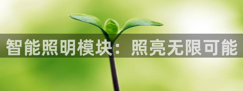 云顶国际下载安装