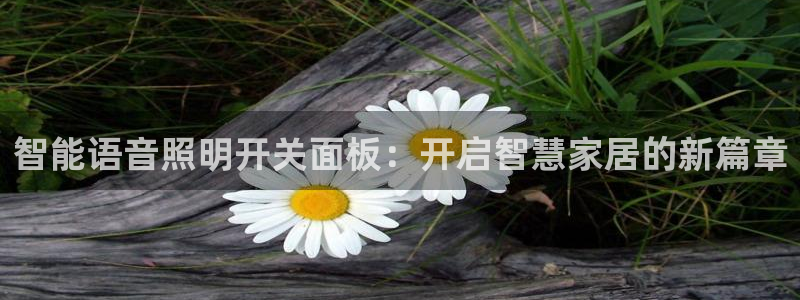 云顶国际版下载