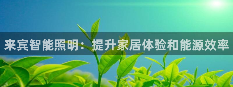 云顶国际服怎么更新