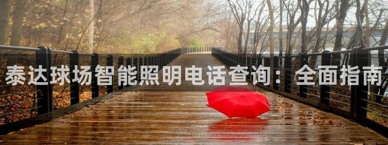云顶国际大厦地址