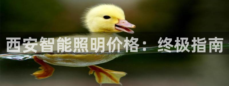 云顶国际官网官方