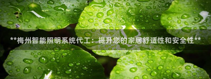 云顶国际会所电话