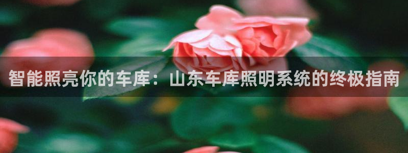 云顶国际平台游戏