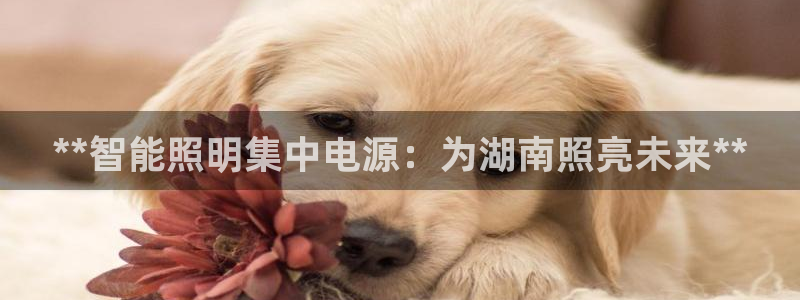 云顶国际大厦在什么地方