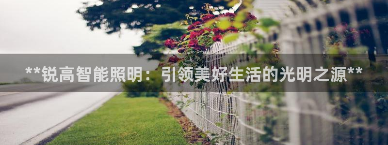 云顶国际nba今日推荐球员名单
