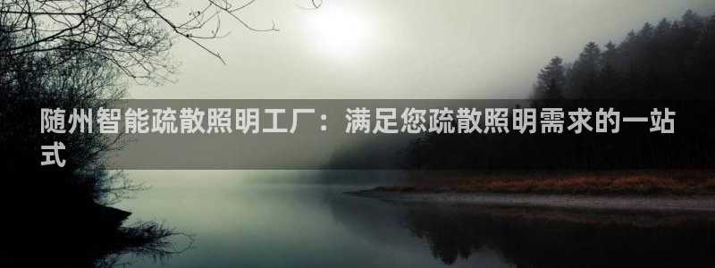 中国云顶控股集团