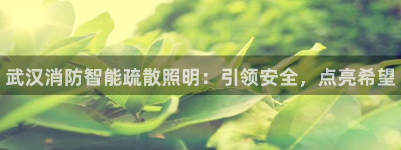 云顶国际ktv会所地址