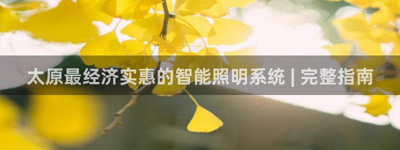 云顶集团网