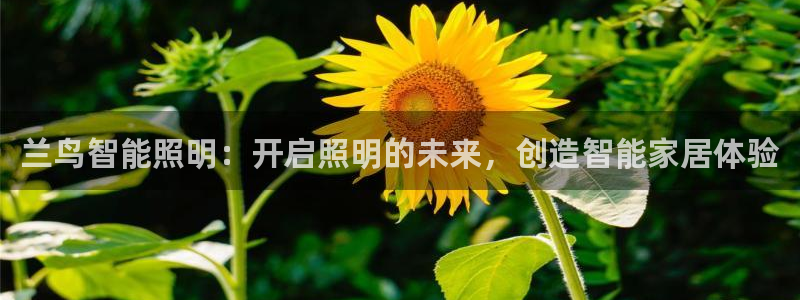 云顶国际停车费多少钱