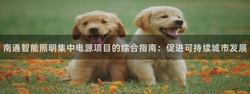云顶国际老板是谁呀