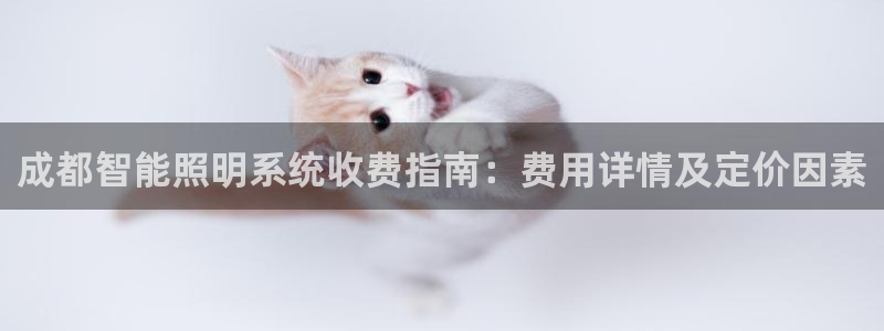 云顶国际比赛