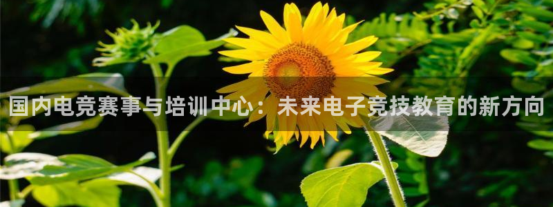 米兰电竞全站
