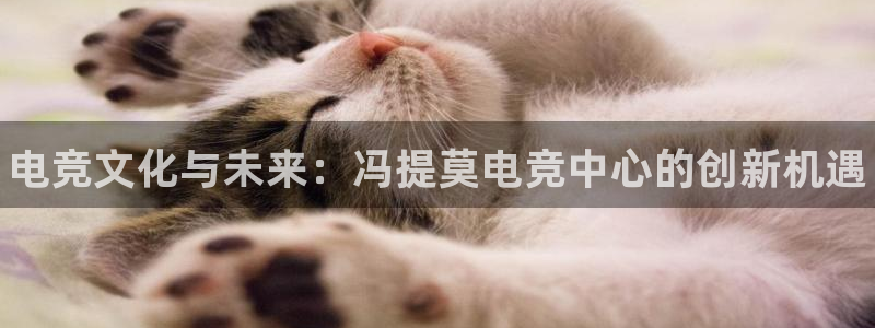 米兰电竞会不会不出款