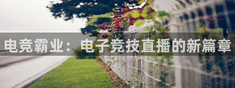 米兰电竞平台官网