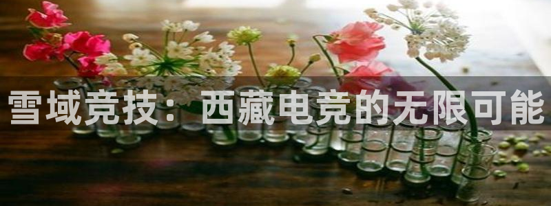 米兰电竞官网