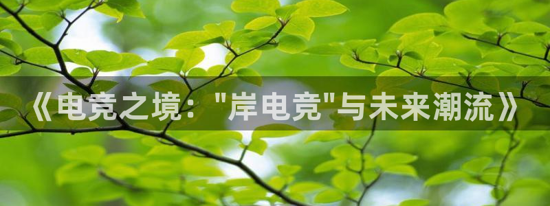 米兰电竞网站人口