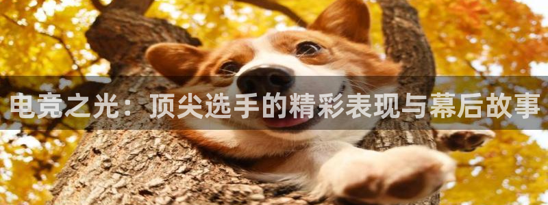 米兰电竞app