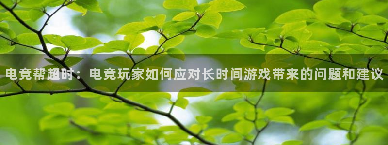 米兰电竞网站人口