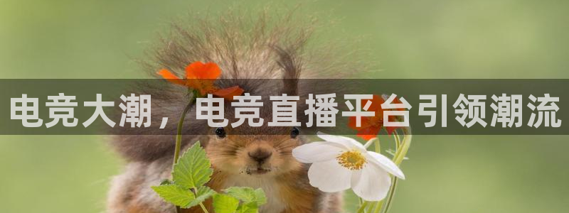 米兰电竞网站