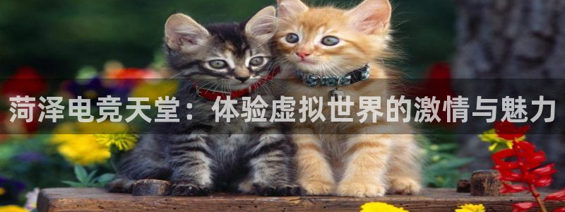 米兰电竞app