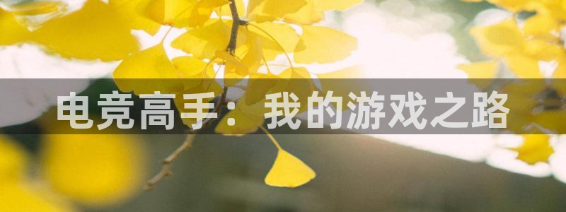米兰电竞网页版入口